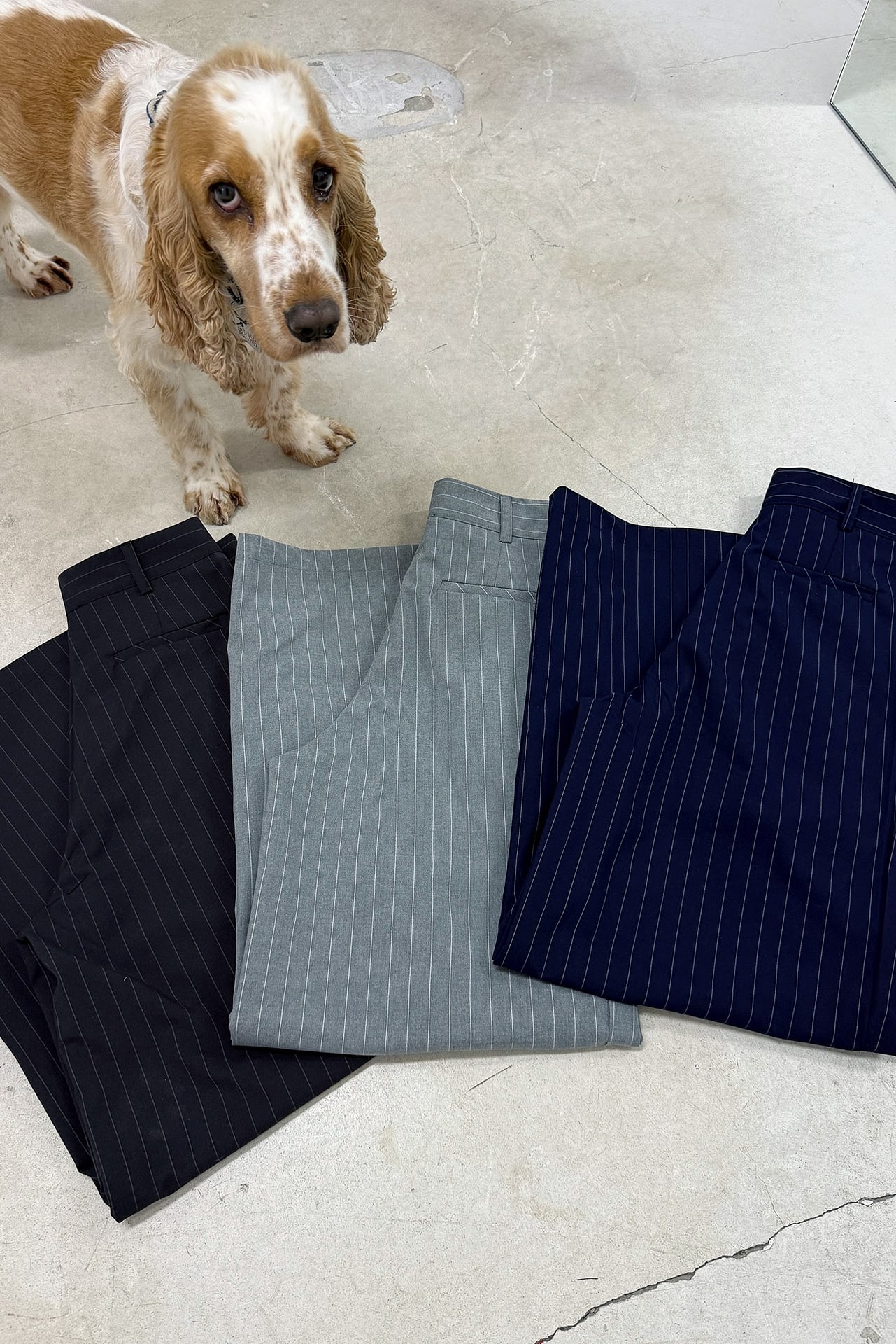 Pantalon Sastrero Rayado